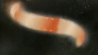 MELTDOWN EURO (full movie)