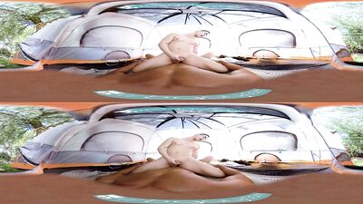 Gay VR PORN - Camping with Zander