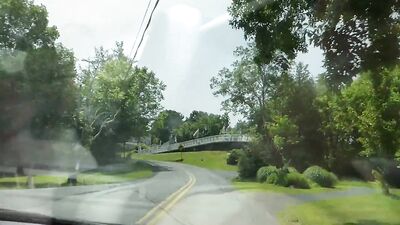 Three Little Pigs in the Woods