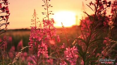 Daddy Buck Fucks a Pretty Lightskinned Boy Passionate, Hardcore and Nasty