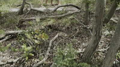 Outdoor Hunks Fire Island Fuck Fest Cummers!