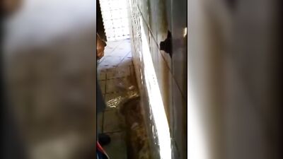 Gay Porn Compilation - Public Bathroom Boy Action Amature Voyeur