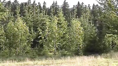 Making their own fire