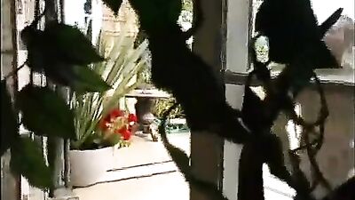 A day in the countryside