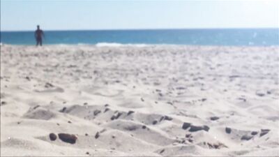 Beach Cruisers Spy Cam