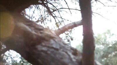 Beach Cruisers Spy Cam