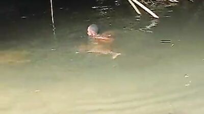 Latin guy masturbating in the forest