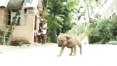 Enjoying the local scenery