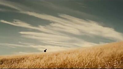 'Ronan's Escape' Short Film on Bullying