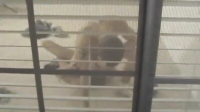 (313)My dream Jung's