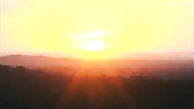 Three boys....One Bed