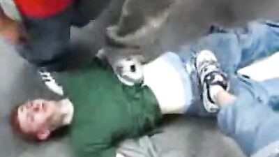 Skater boy to suck cock