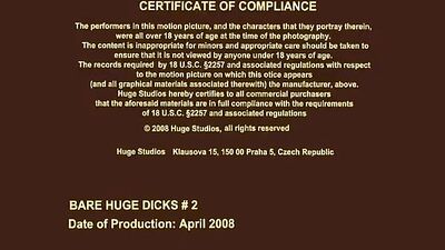 Bare Huge Dicks #2 (Full movie)