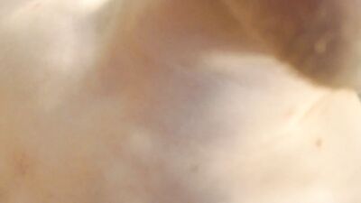 For Sarasarita Twink fucking himself with big dildo