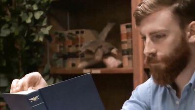 Cheaters must be punished HD