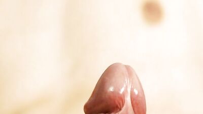 *(2)**PETRO**Fotoshooting