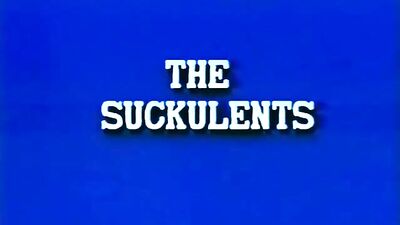 Vintage the suckulents gay porn videos full movie
