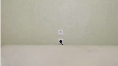 Cam No. 42 - BibCamBoy 18 Jahre