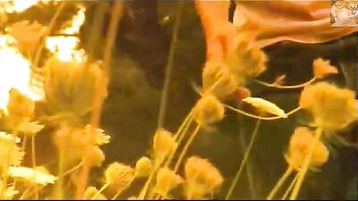 ´Prasti´ (´Excuse me´) from ´Steklovata´ (´Glaswool´)