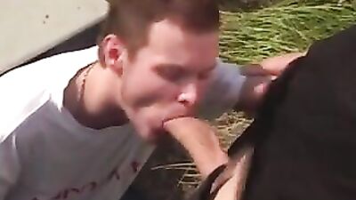 Sicherheitsbig Deutsch