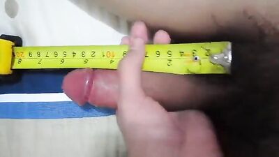 15cm