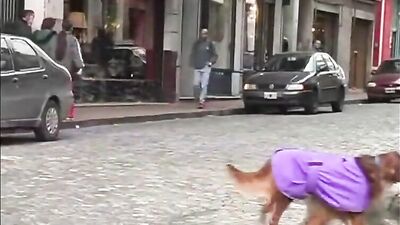 Gay Hostel Boys Sex Porn: Big Cocks and Oral Delights