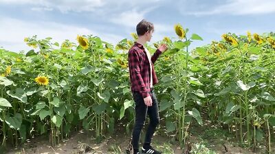 Wanking in the Sunflower Patch: Big Cocks Cum Shots Solo