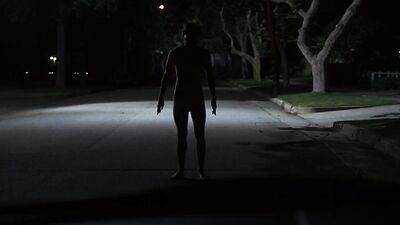 THE GIRL NEXT DOOR. CFNM scene