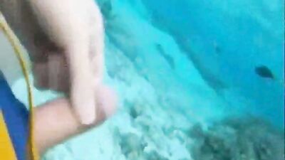 Fish eat cums in ocean