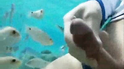 Fish eat cums in ocean