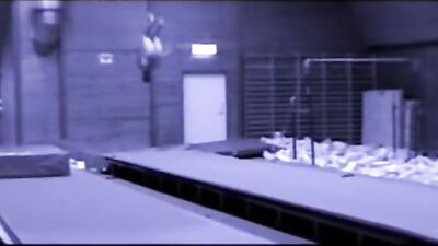 The men's team gymnastics