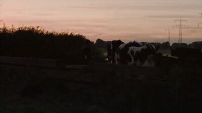 To Be Lonely At Home And Exercise