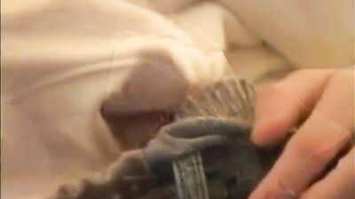 Matt and his big cock