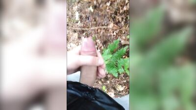 Playing with my Dick in Public