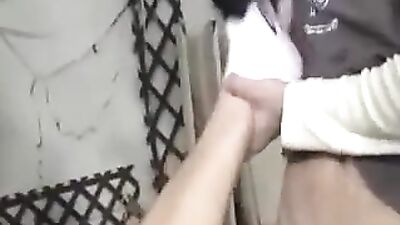 Enjoy a wank and a suck