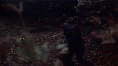 The Devil's Playground (1976)