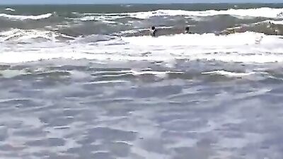 At the beach with friends and the dog