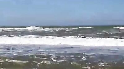 At the beach with friends and the dog