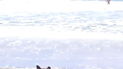 At the beach with friends and the dog