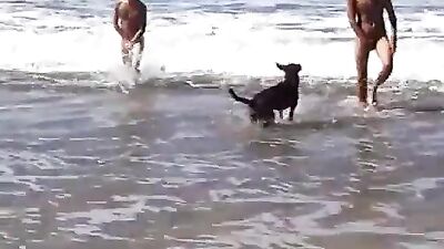 At the beach with friends and the dog