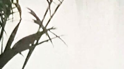 Aime Comme Minet. Cadinot