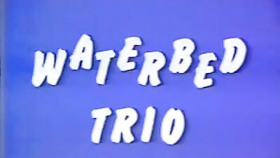 Brilliant Boys 1 - Waterbed trio