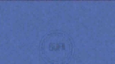 Meine Reise nach Bratislava