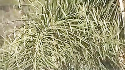 Hot Brazilian Guys 22