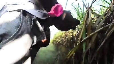 Piss_cum-1