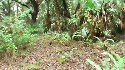 Raw and Rough: Vance Crawfords Forest Adventure - Gay Porn Video