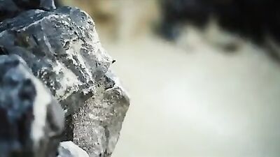 Wild Passion: The Ultimate Action Gay Porn Video!