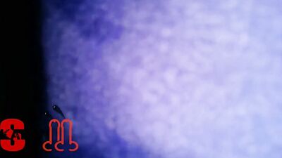 Handjob Amateurs Cumshots: A Gay Porn Experience