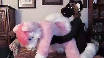 Young Furry Boy Cumming Solo: Teen Blowjobs and Handjobs!