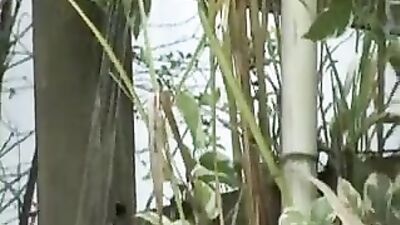 Gay Brazilian Boys: Hot Action All Day Long!